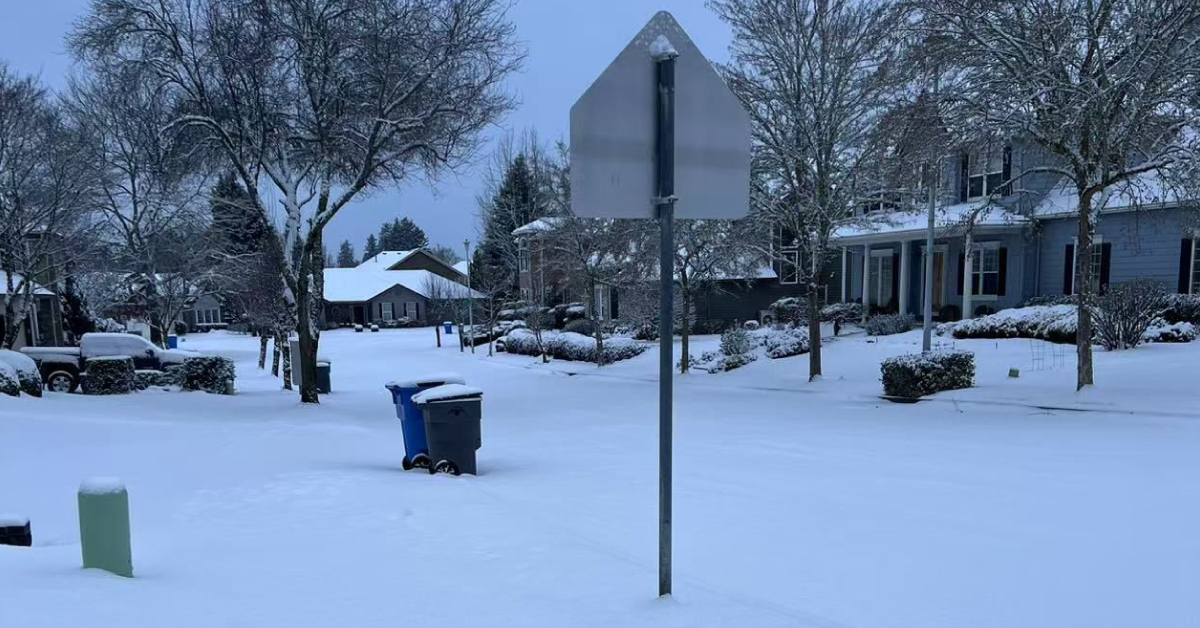 受暴風雪影響，美國波特蘭本土快遞派送及出庫將稍為延誤